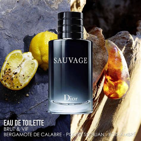 dior sauvage eau de toilette รีวิว|กลิ่น dior.